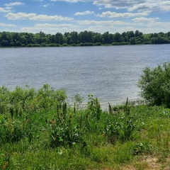 Анна Наумова, Гусь-Хрустальный