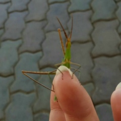 Настя Назарова, 23.03.1994, Ессентуки