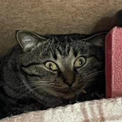 Владимир Туркин, 25.05, Мытищи