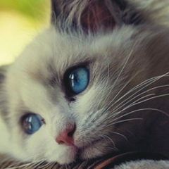 Валентина Малярова, 01.05