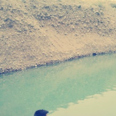 Aybon Tanirbergenov, 19.10.1998