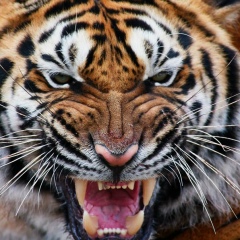 Артур Иванович, 19.07, Москва