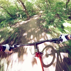 Денис Нестеренко, Ростов-на-Дону