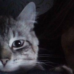 Андрей Учиха