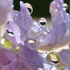 Марина Поспелова, 20.05