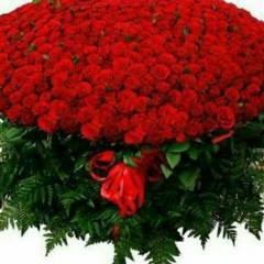 Жанылсын Бактыкереева, 21.06.1987, Москва