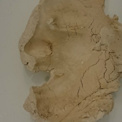 Алексей Бойко, 20.02.1985, Санкт-Петербург