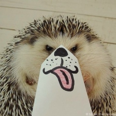 Антон Антонов, 27.05