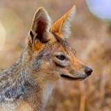 Denis Teplygin, 12.11, Санкт-Петербург