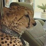 Константин , 03.08, Красноярск