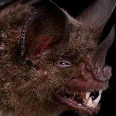 Ольга Иванова, 12.10.1980, Москва