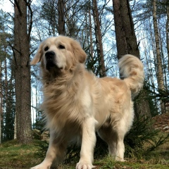 Александр Бытка, 14.09.1988, Санкт-Петербург