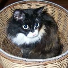 Влад Барышев, 10.04.1997, Омск