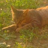 Залина Маашова, 14.02.1999