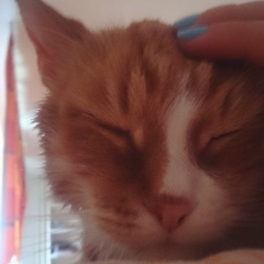 Мария Кочнова, 30.01, Москва