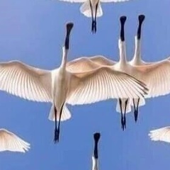 Оксана Петрова, 23.09.1981, Одесса