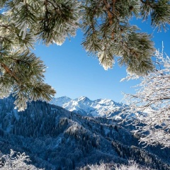 Гульшат Жармуханбетова, 11.06.1980, Алматы