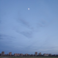 Александр Бу, Санкт-Петербург