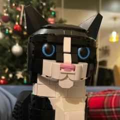 Макс Наумов, 13.08.1984, Санкт-Петербург