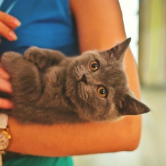 Любовь Шпарагина, 13.09.1987, Санкт-Петербург