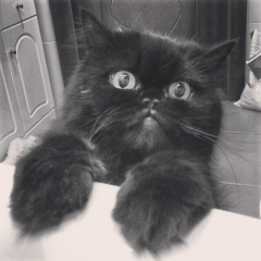 Валера Сазонов, 10.03.1998, Москва