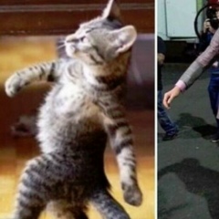 Happy Dog, 20.06.1994