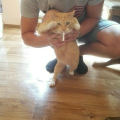 Ваня Ясный, 16.03.1988, Новолукомль