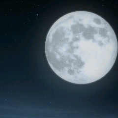 Евгений Балуда, 28.10.1990, Донецк