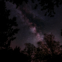 Дмитрий Тарабанчук, 08.11.1999, Одесса