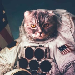 Gerald Shepard, 09.04