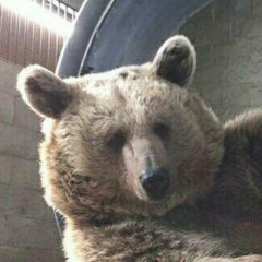 Владимир Ящаев, 07.02, Санкт-Петербург