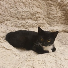 Екатерина Денисова, Москва