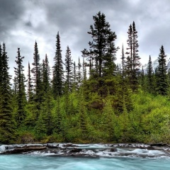 Алексей Лебедев, 30.06.1990, Мичуринск