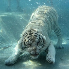 Нуржан Актау, 16.08.1990, Актау