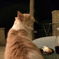 Александра Батуева, 29.09.1990, Санкт-Петербург