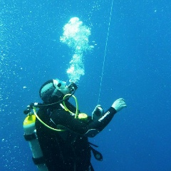 Иван Сегеда, 29.08, Москва