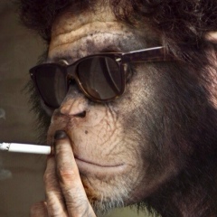 Suhrobjon Said-Zade, Алматы