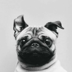 Дмитрий Quattro, 01.02, Таганрог