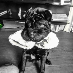 Антон Деев, Екатеринбург