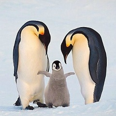 Марина Тимофеева, 22.05