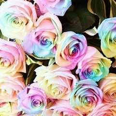 Татьяна Казанцева, 22.08.1986