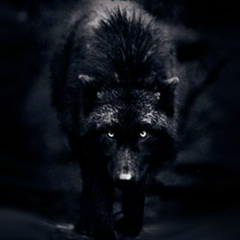 Андрей Родионов, Новосибирск