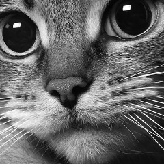 Ирина Суворова, 14.06