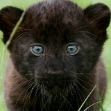 Таня Тимошенко, 09.08.1984