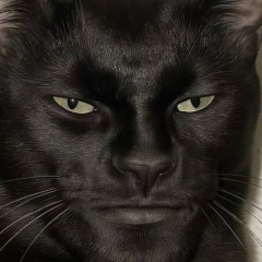 Стас Лошкарёв, 26.10.1989, Екатеринбург