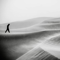 Aleksei Ko, Санкт-Петербург