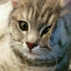 Руслан Плотников, 09.04.1999