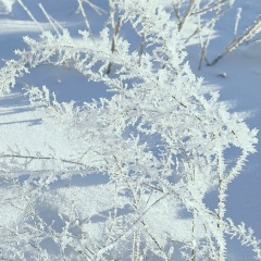 Юля Евсюкова, Новокузнецк