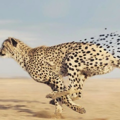 Анна Баврина, Санкт-Петербург