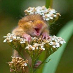 Евгения Инюшкина, 17.02, Санкт-Петербург